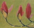 Kunstwerk magnolia