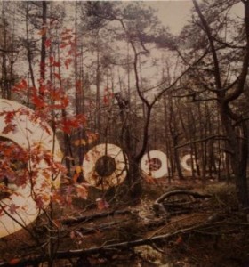 cirkels in het bos 