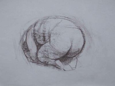modelstudie modelstudie
