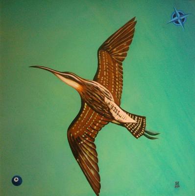 Compass Curlew Compass Curlew