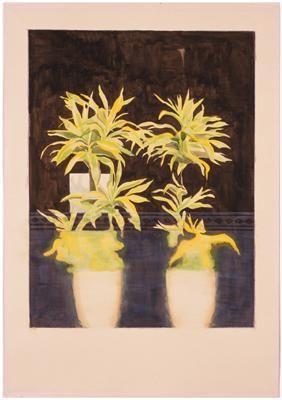 zonder titel (plant achter plakplastic) zonder titel (plant achter plakplastic)