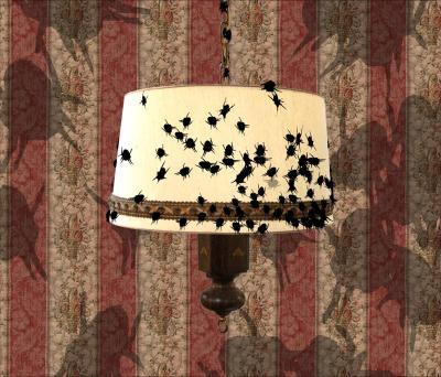 Lamp Lamp