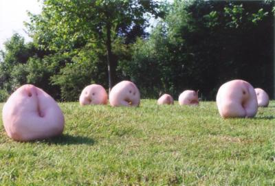 zwammende hoofden zwammende hoofden