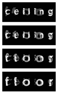 Transvariation #1 Transvariation #1