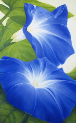 blauwe winde 2 blauwe winde 2