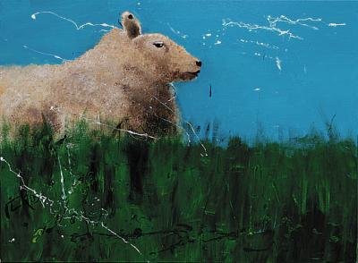 Schaap Schaap