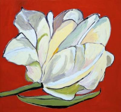 oranje tulp oranje tulp