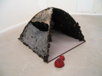 shelter shelter