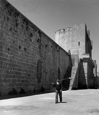  ' Aigues Mortes '  Camargue (KSF-208)