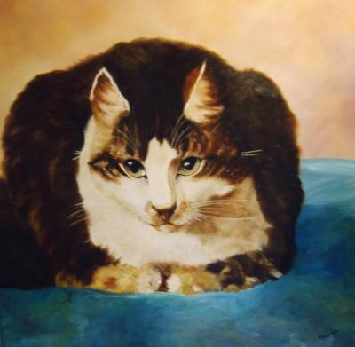 poes poes