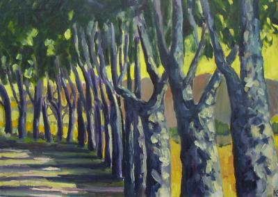 provence provence
