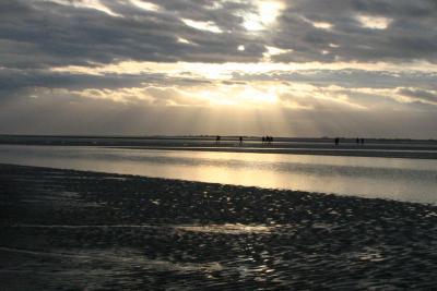 Sea Sea