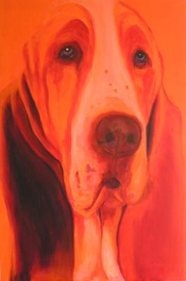 Oranje Basset