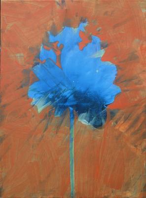 miss blue miss blue