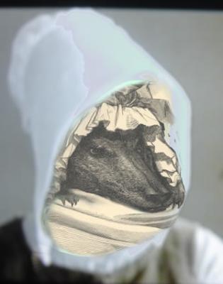 Virgin Wolf Virgin Wolf