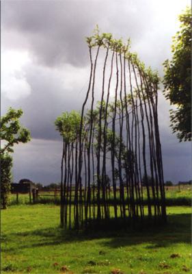 Wrapture Wrapture