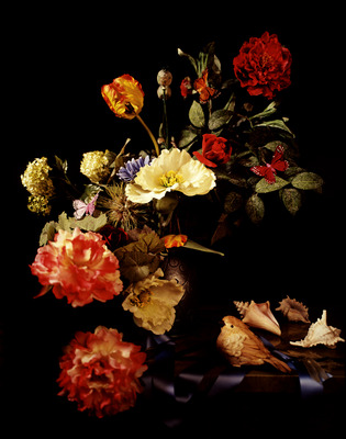 Bloem Stilleven Bloem Stilleven