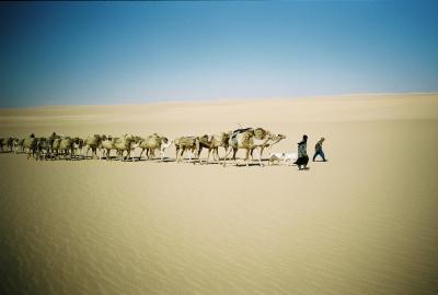sahara Niger sahara Niger