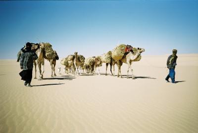 Sahara in niger