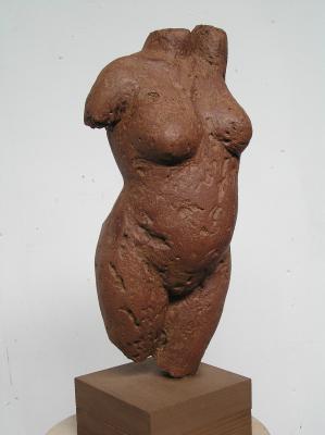 torso torso