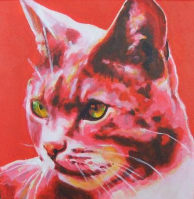 Rode Kater Rode Kater