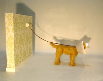 Hondlamp Hondlamp
