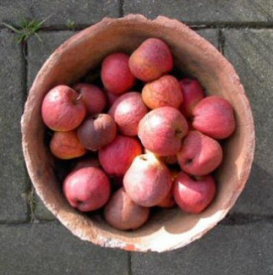 Wereldbeeld Wereldbeeld