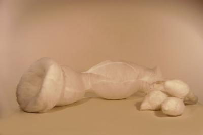 species of origin 2 (foto 1/2) species of origin 2 (foto 1/2)