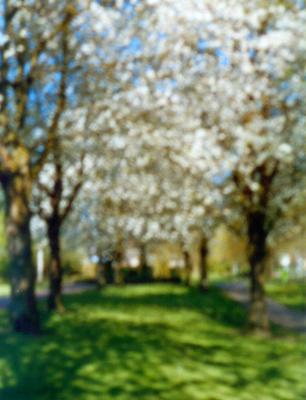 pinhole 3 pinhole 3