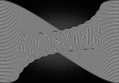 Plexouda Plexouda