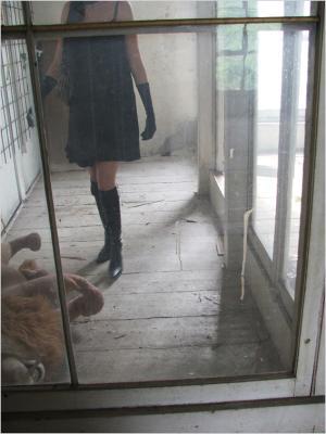 - -