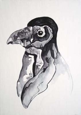 Spheniscus Demersus Spheniscus Demersus