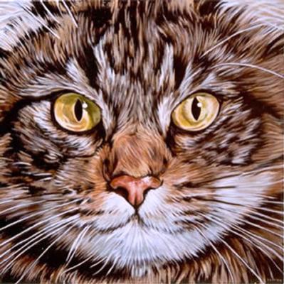 Kat Kat