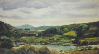 Lake, Ierland Lake, Ierland