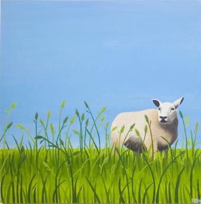 Schaap Schaap