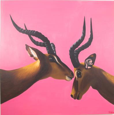 Impala Impala