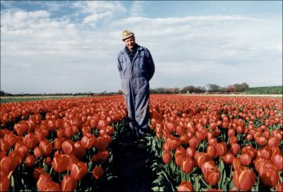 Tulpen Tulpen