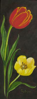 bloemstilleven: Rode en gele tulp bloemstilleven: Rode en gele tulp