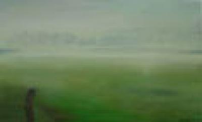 Mist Mist