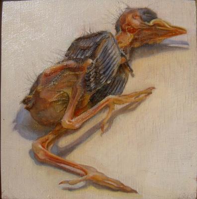 Sturnus vulgaris Sturnus vulgaris