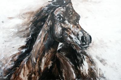 Arabian expression Arabian expression