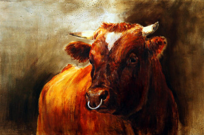 Brandrode stier Brandrode stier