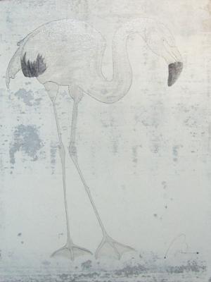 Flamingoo Flamingoo