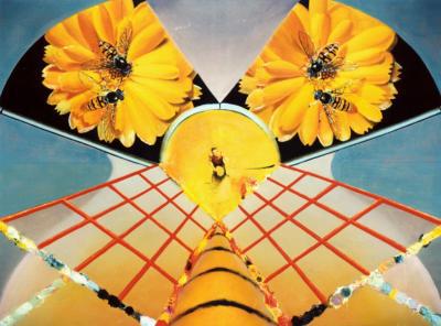 Cross-pollination Cross-pollination