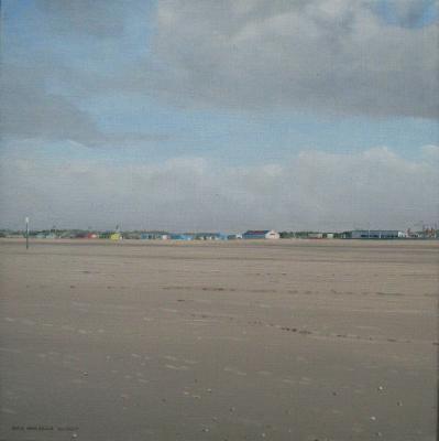 (137) strandhuisjes op Hoek van Holland