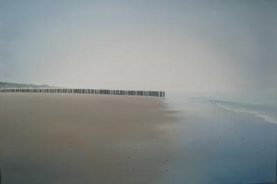 (141) strand bij westenschouwen