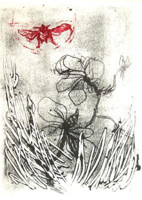 Hommel 1 Hommel 1