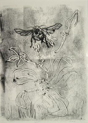 Hommel 2 Hommel 2