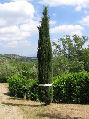 Perugia002 / after Perugia002 / after