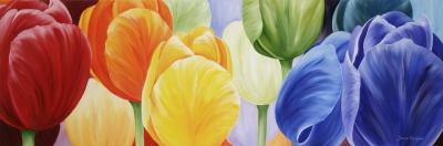 RAINBOW FLORRISSIMA RAINBOW FLORRISSIMA